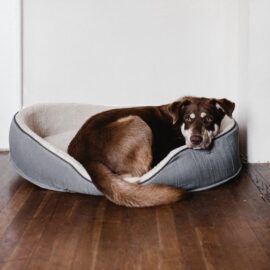 Pet Bed (Large)