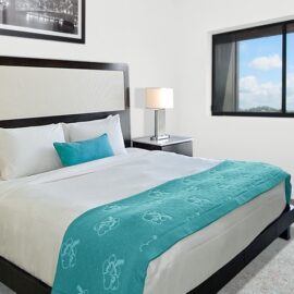Bedset - King (Wash and Press)