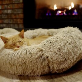 Pet Bed (Small)