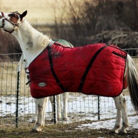 Horse Blanket
